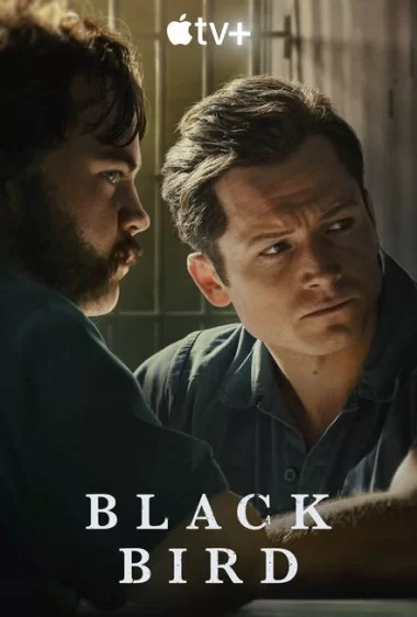 Постер сериала Чёрная птица