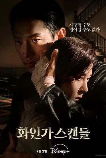 Постер сериала Красный лебедь