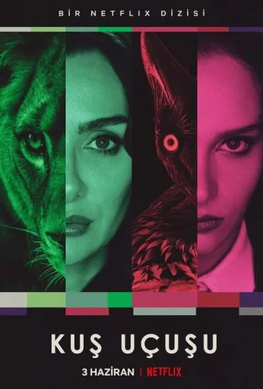 Постер сериала Полёт птицы